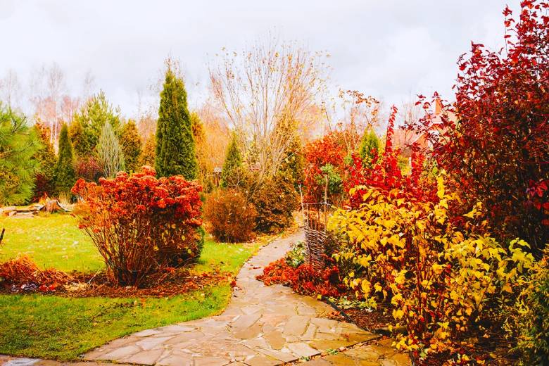 Златна есен в градината: Поддръжка и подготовка преди студените месеци - част 2